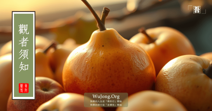 【觀者須知．吾宗至真】